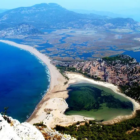 Caretta Mugla * Dalyan